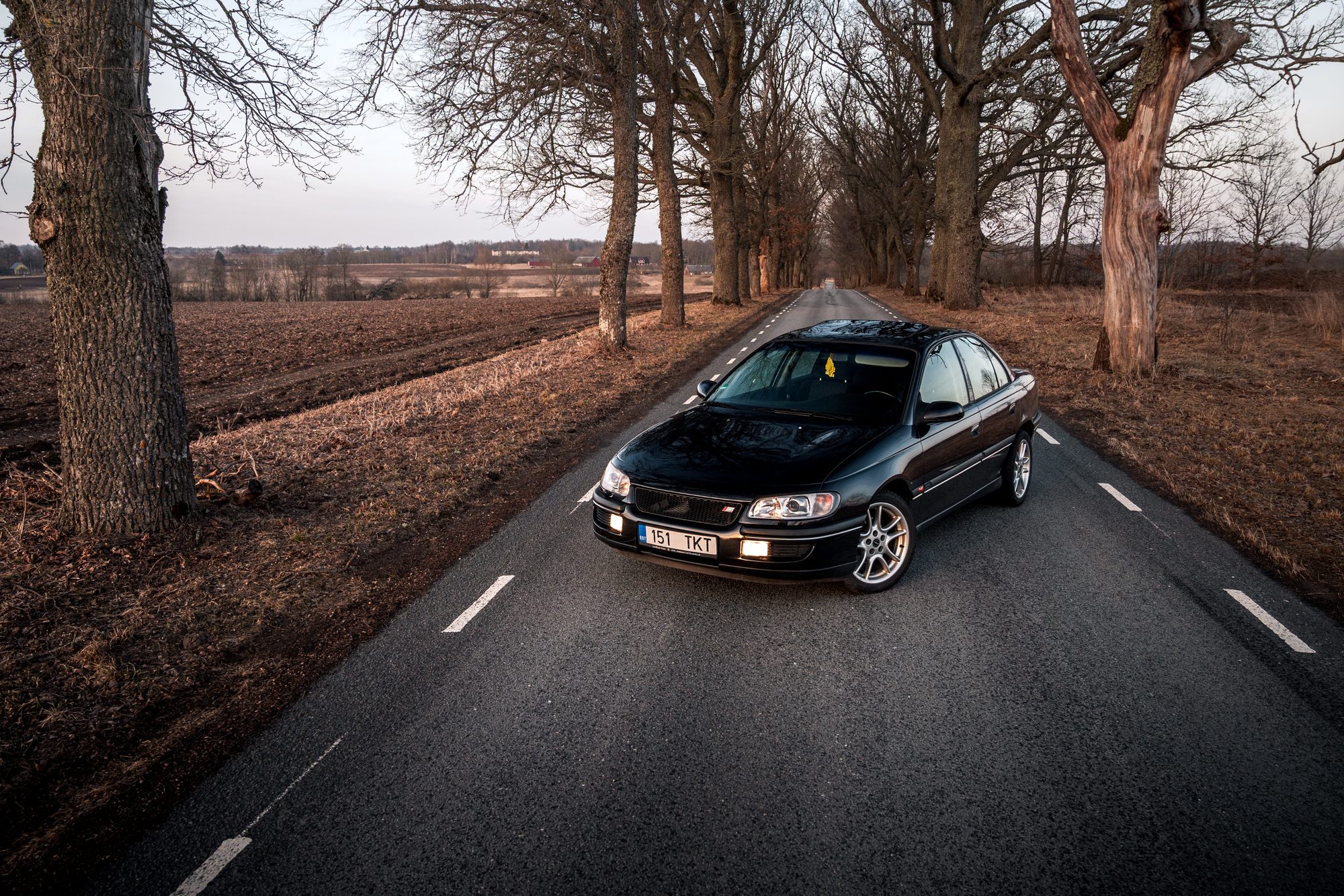 Black Opel Omega on a tree-lined road in early spring evening light